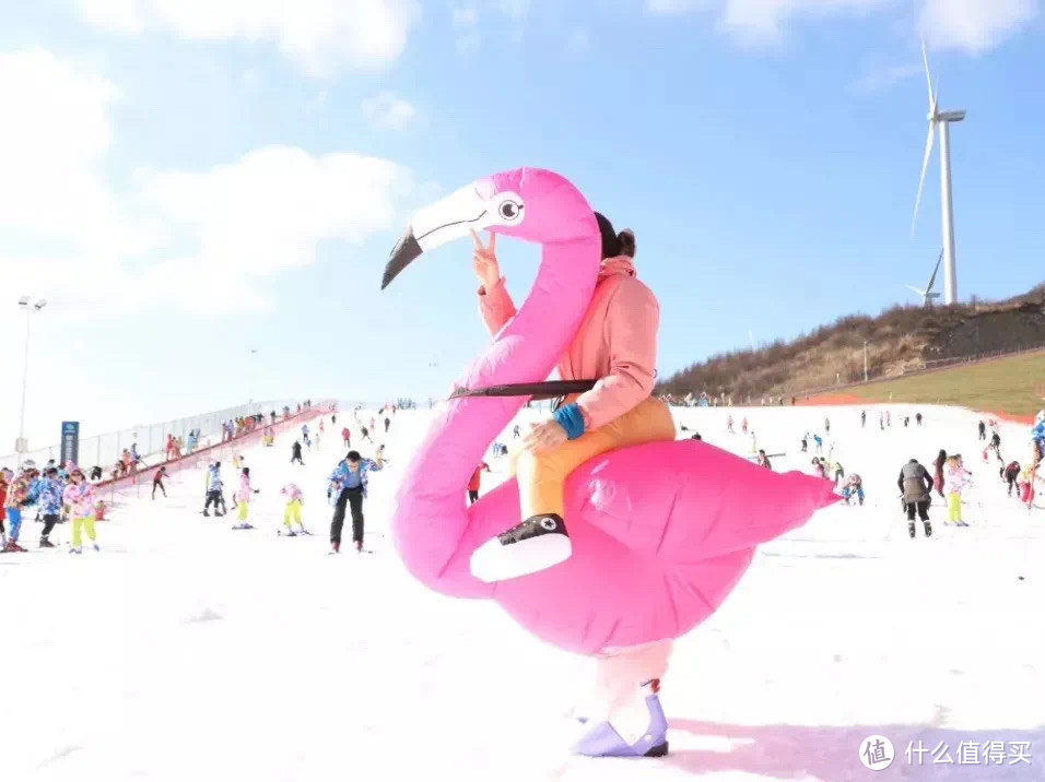 滑雪装备|单板滑雪和双板滑雪装备有什么区别